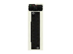 Schneider BMXDDM16025 - 8 DI 24VDC / 8 DO, relés 3A PNP