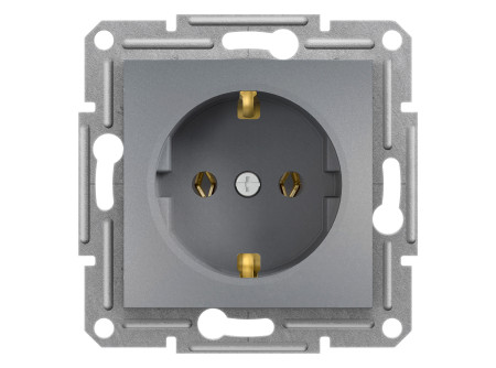 Schneider EPH2900162 - ASFORA 2P+F aljzat, csavaros bekötés, acél