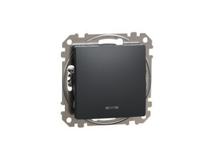 Schneider SDD114101N - ÚJ SEDNA Egypólusú kapcsoló, EF, 10AX, antracit